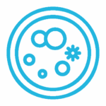 Schimmel Icon